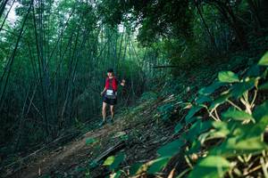 BIB: 
                            <button type="button" onclick="openModal(28124983)" class="btn btn-primary btn-sm float-right btn-popup" data-toggle="modal" data-target=".modal-high-quality">
                        <i class="fas fa-shopping-cart"></i> Add to Cart
                    </button>
                                            <button type="button" onclick="isThisMe(28124983, true)" class="btn btn-success btn-sm float-right btn-popup btn-isme hidden" data-toggle="tooltip" data-placement="bottom" title="นี่คือรูปของคุณใช่ไหม คลิกที่นี่เพื่อเอาเข้าอัลบั้ม">
                        <i class="fas fa-plus"></i> Add to album
                    </button>
                    <button type="button" onclick="isThisMe(28124983, false)" class="btn btn-warning btn-sm float-right btn-popup btn-isnotme hidden">
                        <i class="fas fa-ban"></i> Remove from album
                    </button>